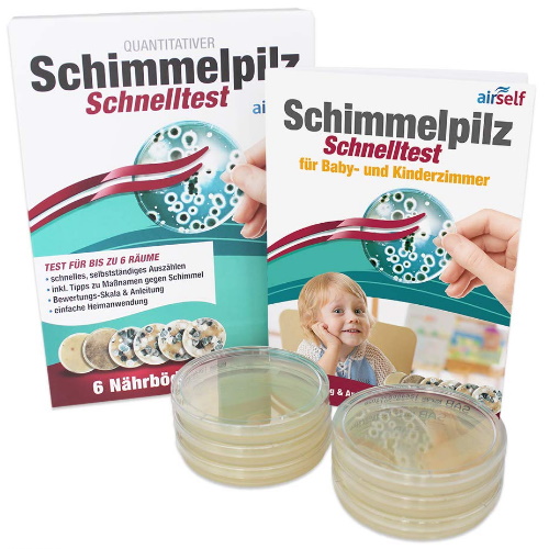 ✓Schimmel-Test! Raumluftanalyse und Abklatschtest zur Bestimmung!